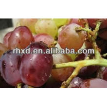 2013 Neue Ernte beste frische rote Trauben Rot Grapered Traubenhaut-Extrakt